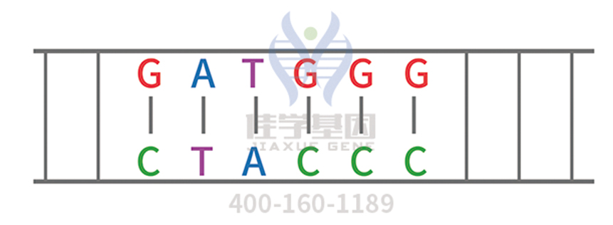 高密度芯片分子病理檢測FAT2有突變，結果正確嗎？